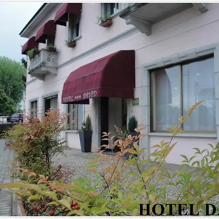 Hotel David 3*