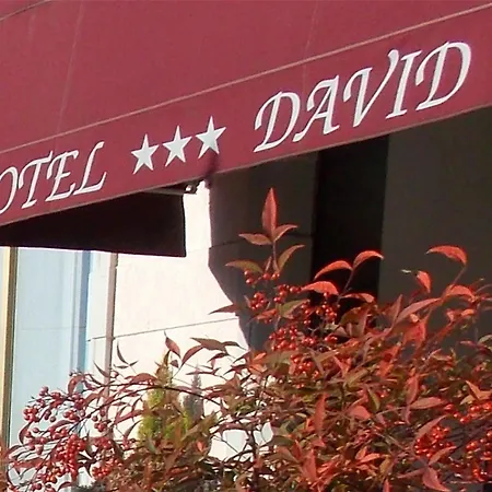 David 3* 塞斯托卡伦代